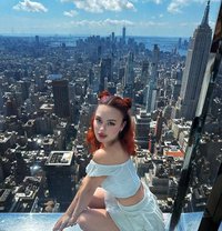 سيسي - escort in Erbil