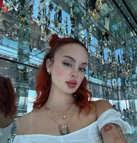 سيسي - puta in Erbil Photo 3 of 6