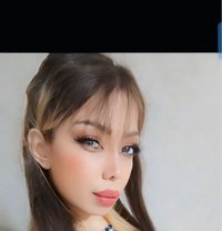 جوري - escort in Erbil