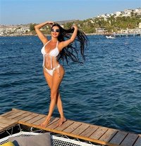 لونار - escort in Erbil