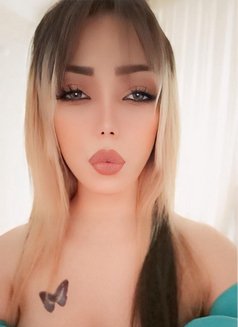 ريتا اربيل - escort in Erbil Photo 1 of 4