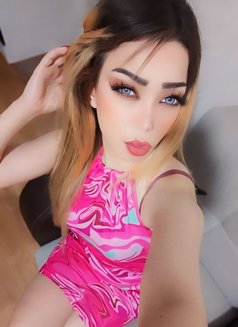 مرام اربيل - escort in Erbil Photo 3 of 5