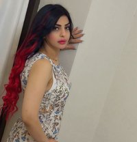 جوجي - escort in Erbil