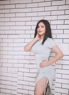 حلا حلا - escort in Erbil Photo 1 of 2