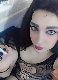 مرام ليدي - Transsexual escort in Beirut Photo 1 of 4