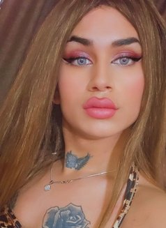 لوليان - Agencia de acompañantes transexuales in Beirut Photo 6 of 10