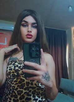 لوليان - Agencia de acompañantes transexuales in Beirut Photo 9 of 10