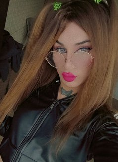 لولو كاتي - Agencia de acompañantes transexuales in Beirut Photo 7 of 16