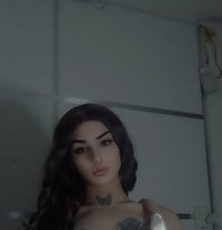ليلو - Transsexual escort agency in Beirut