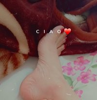 ليلو - Transsexual escort agency in Beirut