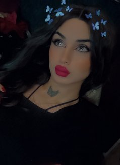 ليلو - Transsexual escort agency in Beirut Photo 8 of 26