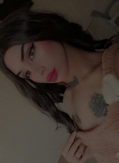 ليلو - Transsexual escort agency in Beirut Photo 11 of 26