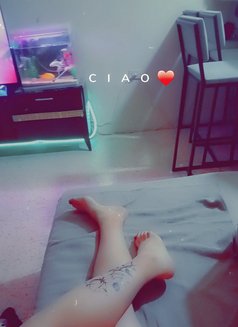 ليلو - Transsexual escort agency in Beirut Photo 19 of 26