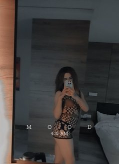 ليلو - Transsexual escort agency in Beirut Photo 24 of 26