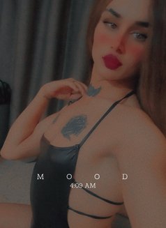 ليلو - Transsexual escort agency in Beirut Photo 26 of 26