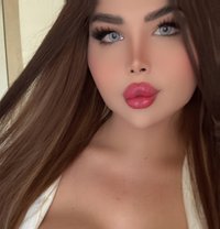 هيفا - Transsexual escort in Erbil