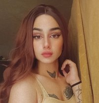 ليلو - Transsexual escort agency in Beirut