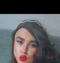 ليدي بوي توب - Acompañantes transexual in Beirut