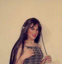 حلا - Transsexual escort in Beirut