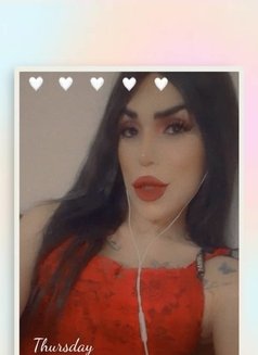 ميمي الشام - Transsexual escort in Damascus Photo 2 of 3