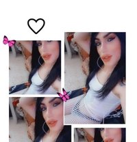 ميمي الشام - Transsexual escort in Damascus