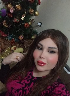 اليسار - Acompañantes transexual in Damascus Photo 5 of 5