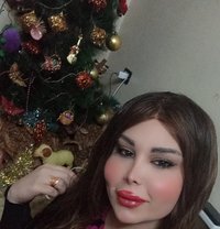 اليسار - Transsexual escort in Damascus
