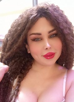 اليسار - Transsexual escort in Damascus Photo 4 of 4