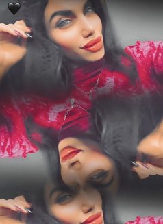 وتين - Transsexual escort agency in Damascus Photo 5 of 6