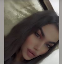 وتين - Agencia de acompañantes transexuales in Damascus