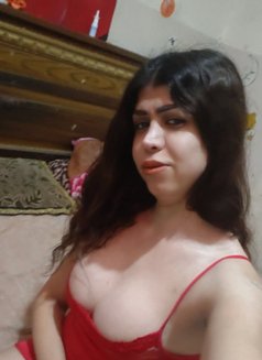 لارا شيميل - Transsexual escort in Damascus Photo 1 of 3