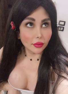 اليسار - Transsexual escort in Damascus Photo 5 of 8