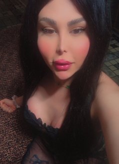 اليسار - Transsexual escort in Damascus Photo 6 of 8