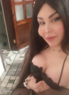 اليسار - Transsexual escort in Damascus Photo 7 of 8