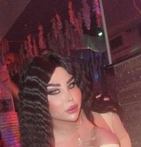 اليسار - Transsexual escort in Damascus