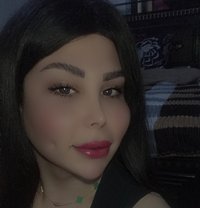 اليسار - Transsexual escort in Damascus