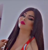 اليسار - Transsexual escort in Damascus