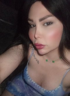 اليسار - Transsexual escort in Damascus Photo 5 of 6