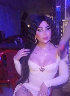 اليسار - Transsexual escort in Damascus Photo 6 of 6