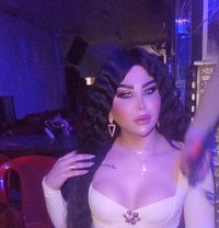 اليسار - Transsexual escort in Damascus