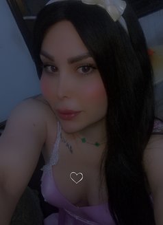 اليسار - Acompañantes transexual in Damascus Photo 7 of 7