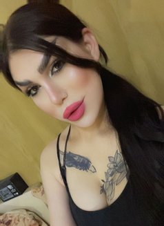 ميمي كوين - Transsexual escort in Damascus Photo 1 of 4
