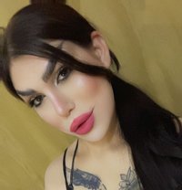 ميمي كوين - Acompañantes transexual in Damascus