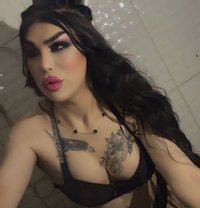 ميمي كوين - Acompañantes transexual in Damascus