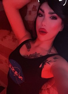 ميمي كوين - Transsexual escort in Damascus Photo 3 of 4