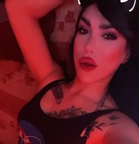 ميمي كوين - Acompañantes transexual in Damascus