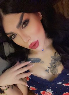 ميمي كوين - Transsexual escort in Damascus Photo 4 of 4
