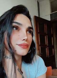 جويل - Transsexual escort in Damascus Photo 1 of 2