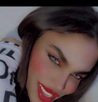 وتين - Agencia de acompañantes transexuales in Damascus