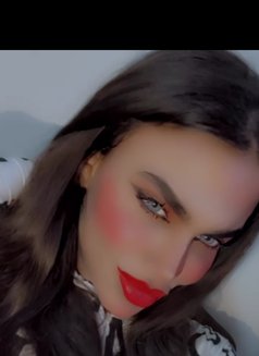 وتين - Transsexual escort agency in Damascus Photo 12 of 12